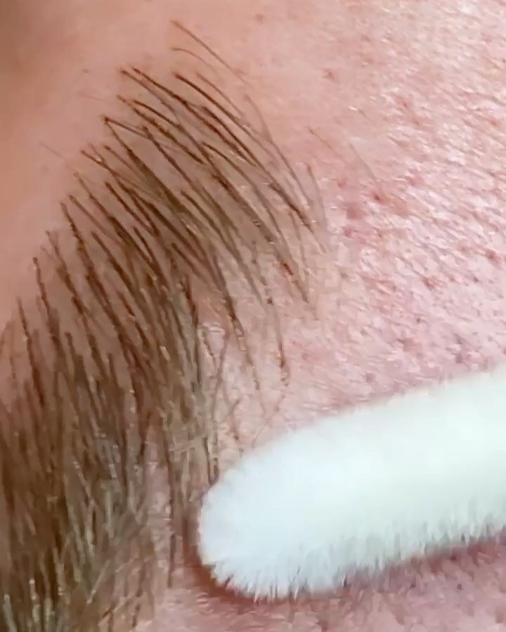 Macro of brow hairs brushed through with a spoolie