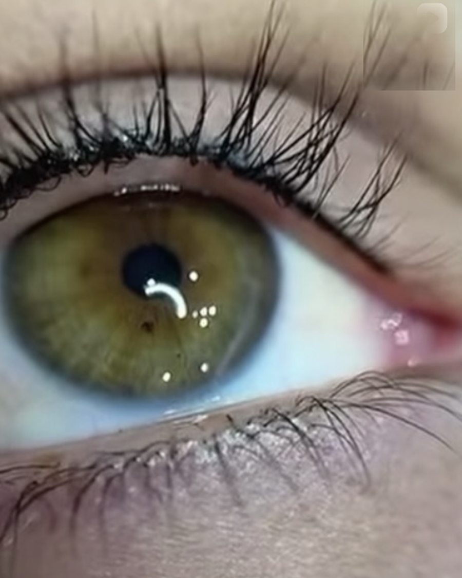 Macro detail of a lash enhancement tattoo and lifted lashes